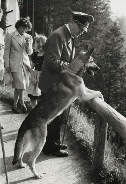 Hitler and His Beloved Dog Blondi (13)