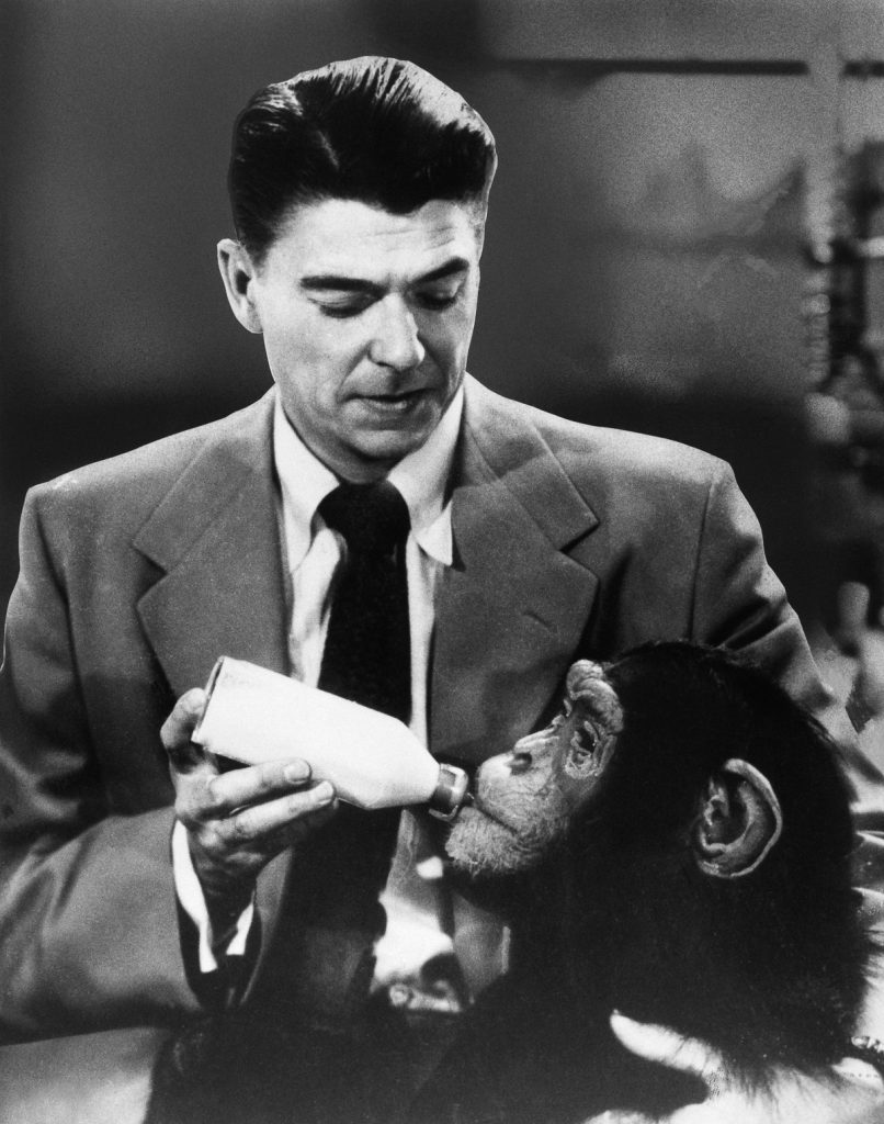1951 --- Ronald Reagan Feeding Chimp in Movie Scene --- Image by © Bettmann/CORBIS