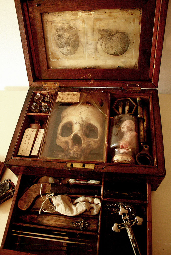 mysterious-skulls-skeletons-thomas-theodore-merrylin-home-london-12